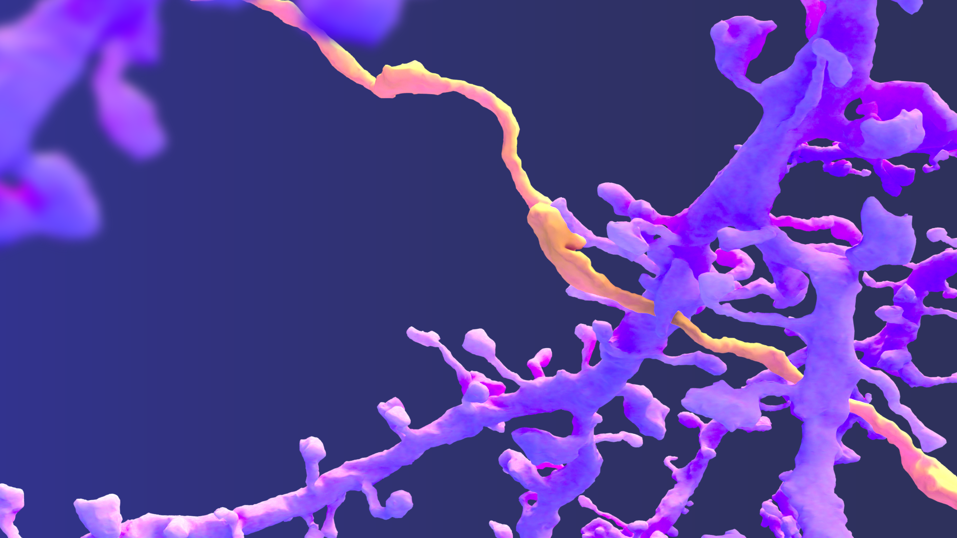 Connectomics era poster